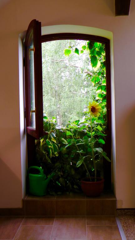 Blumenhaus Apartment Фелтен Екстериор снимка